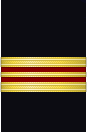 Sleeve insignia