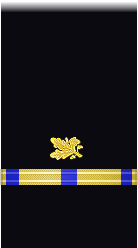 sleeve insignia