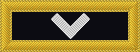 collar insignia