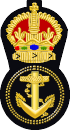 cap badge