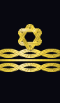 sleeve rank insignia