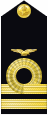 Shoulder insignia