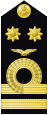 Shoulder insignia