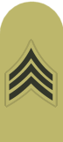 USMC khaki insignia