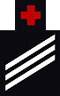 WAVE non-rated insignia