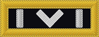 collar insignia