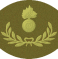 rank insignia